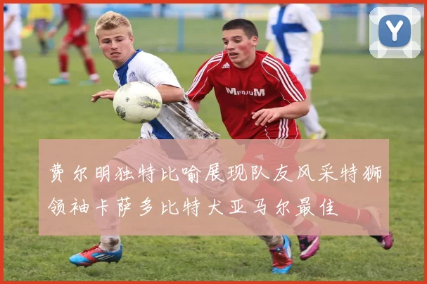 费尔明独特比喻展现队友风采特狮领袖卡萨多比特犬亚马尔最佳