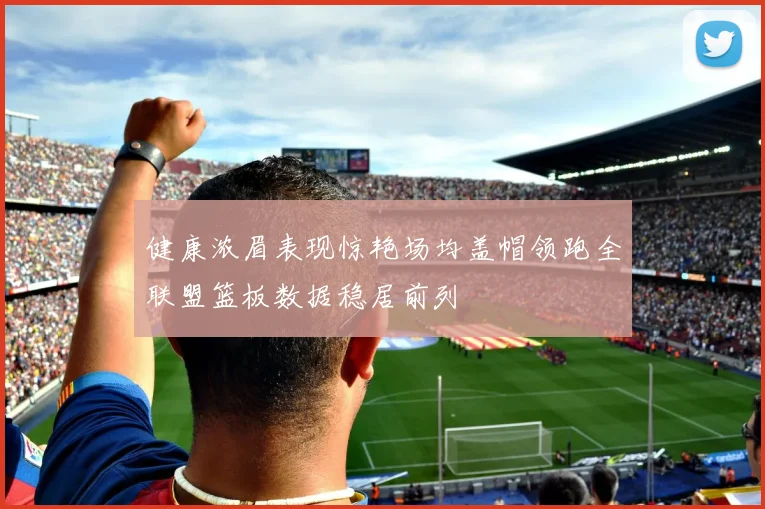 健康浓眉表现惊艳场均盖帽领跑全联盟篮板数据稳居前列