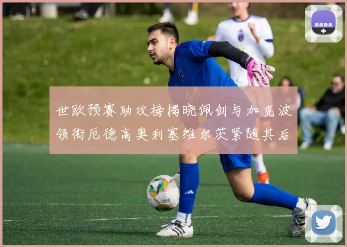 世欧预赛助攻榜揭晓佩剑与加克波领衔厄德高奥利塞维尔茨紧随其后
