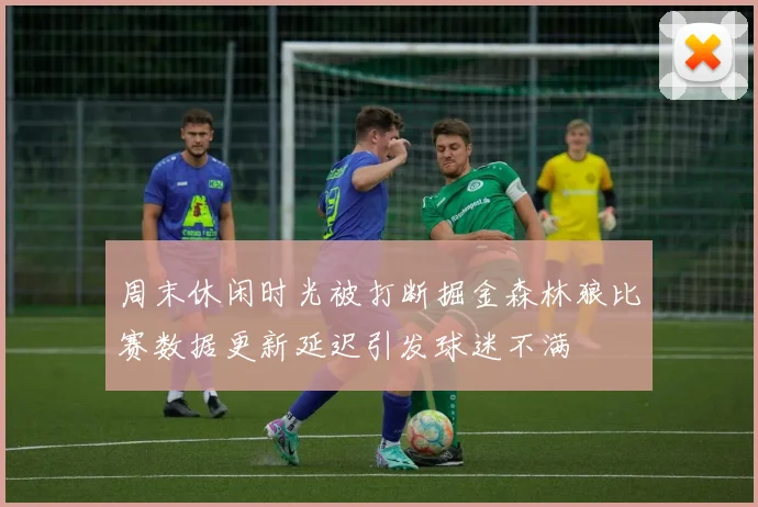 周末休闲时光被打断掘金森林狼比赛数据更新延迟引发球迷不满
